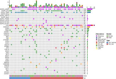 EGFR amplification is a putative resistance mechanism for NSCLC–LM patients with TKI therapy and is associated with poor outcome